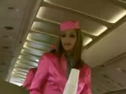 เครื่องบินเซ็กซี่ Stewardess